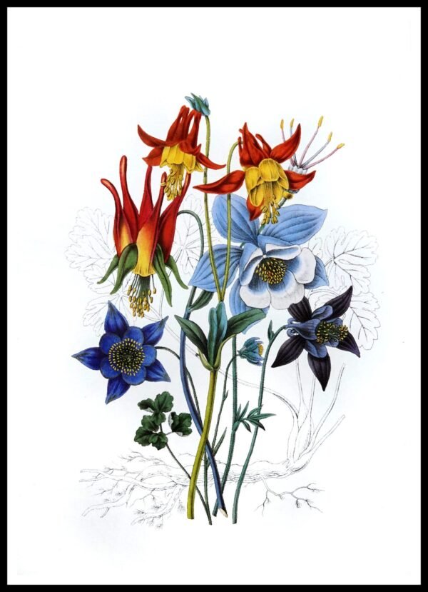 ALP CF1017 Chelsea Flowers (Antique Prints)